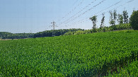 #5: View to the East