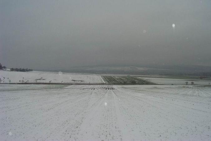 Aussicht vom Confluencepunkt / View W from the Confluence Point