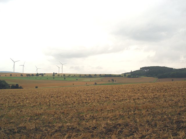 East view from Confluence