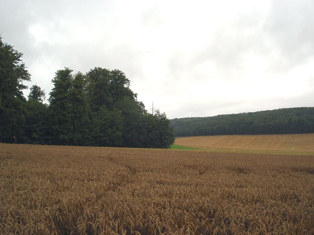 West view from Confluence