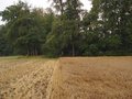 #3: South view from Confluence