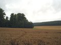 #4: West view from Confluence