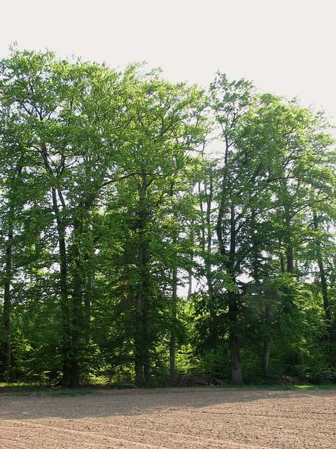 View south