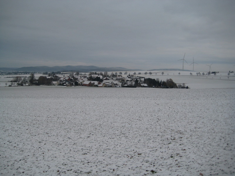 The confluence location near Evensen... Brrrrr...cold