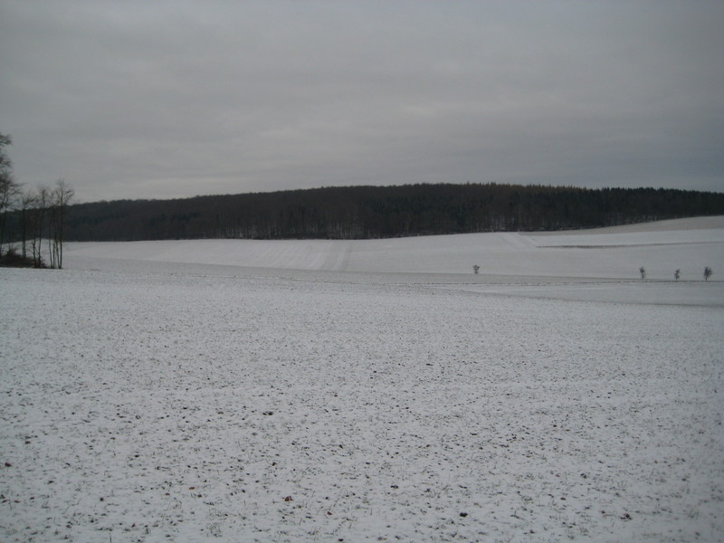 western view