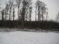 #5: southern view