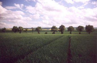 #1: view to the South and the small Huy Mountains