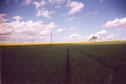 #3: view to the North