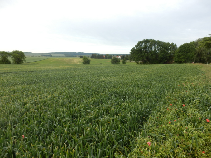 View to the South