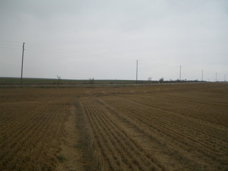 Looking North
