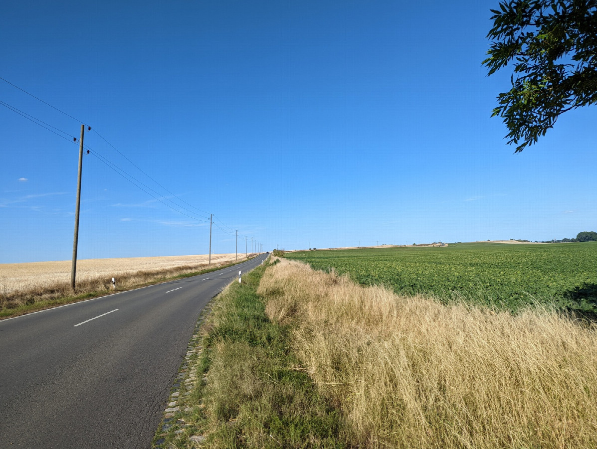 Looking toward the confluence