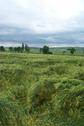 #6: View from the confluence / Aussicht vom Confluence Punkt