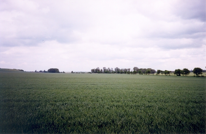 View towards E from the confluence