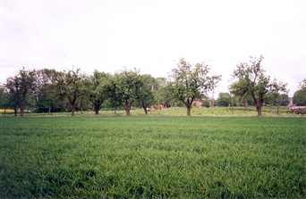 #1: General view of the confluence (towards W and the village of Eilsdorf)