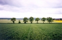 #4: View towards S from the confluence (in the backgroud the Huy hills)