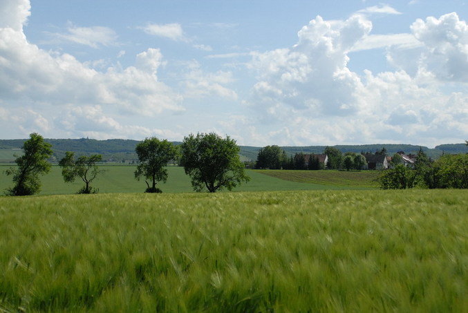 View to the point / Blick zum Confluence Punkt