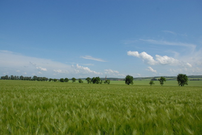 View west / Blick nach Westen