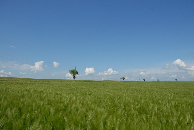 View east / Blick nach Osten