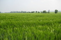Visit #7: [21-May-11]