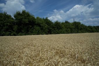 #1: View North