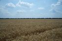 #3: View South