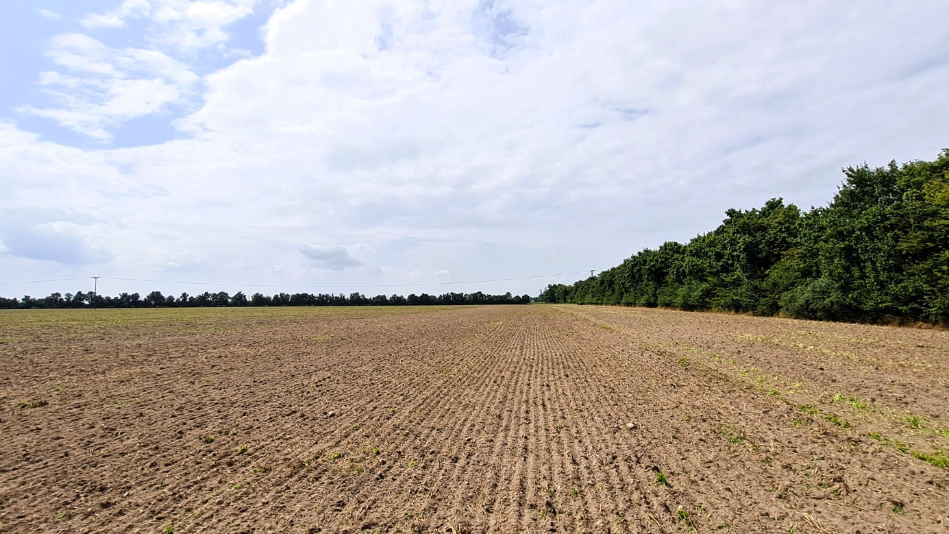 view west