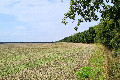 Visit #15: [27-Jul-25]