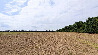 #3: view west
