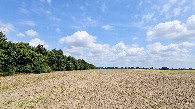 #5: view east