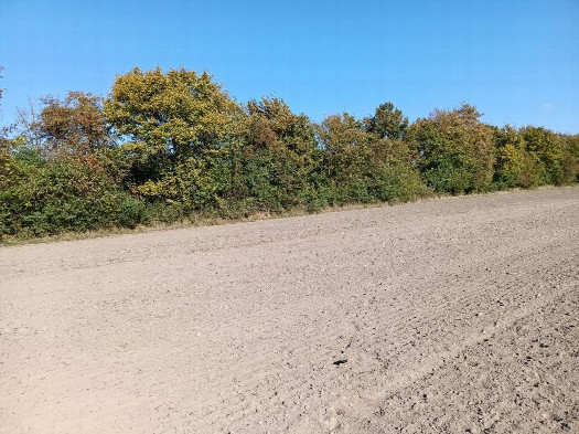 #1: Norden; view north