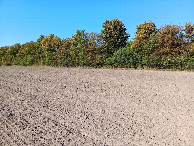 #4: Westen; view west