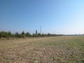 #8: View from the confluence / Aussicht vom Confluence Punkt