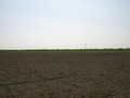 #3: View South