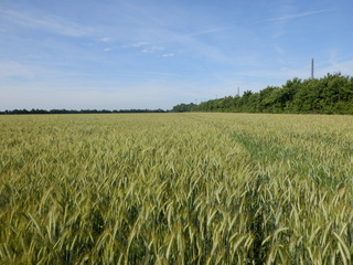 #1: The Confluence from 15 m distance