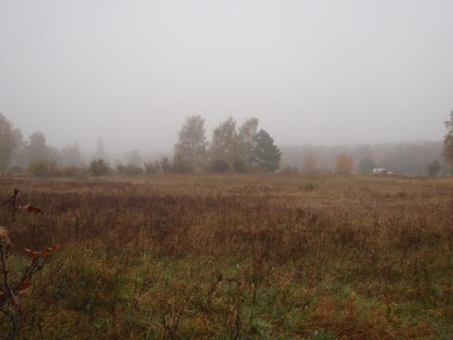 Norden/North