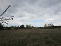 #4: North