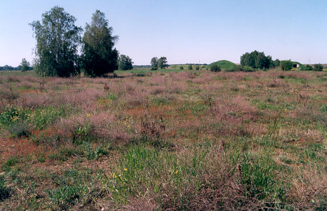 Old CP-view-West (#1), now in spring, with disguised aircraft shelter (hill)