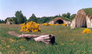 #5: Some beautiful flowering aircraft shelter near airfield