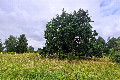Visit #20: [01-Aug-25]