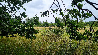 #2: view north