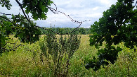 #5: view east