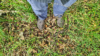 #7: ground at CP