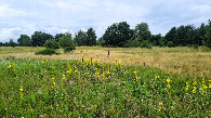 #9: the field