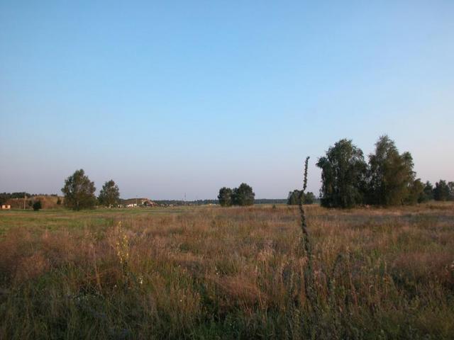 View from the confluence point / Aussicht vom Confluence Punkt