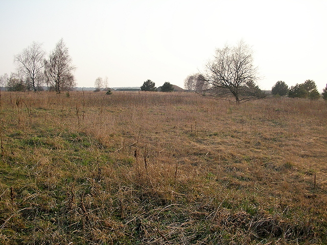 The confluence. The point is located next to the tree (the one that's a bit right from the middle of the image)