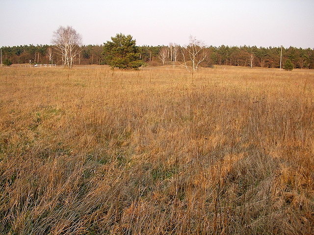 East view with the nearby road in background