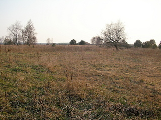 #1: The confluence. The point is located next to the tree (the one that's a bit right from the middle of the image)