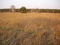 #2: East view with the nearby road in background