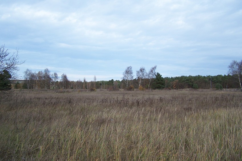 View towards NE from the confluence