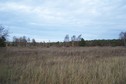 #4: View towards NE from the confluence